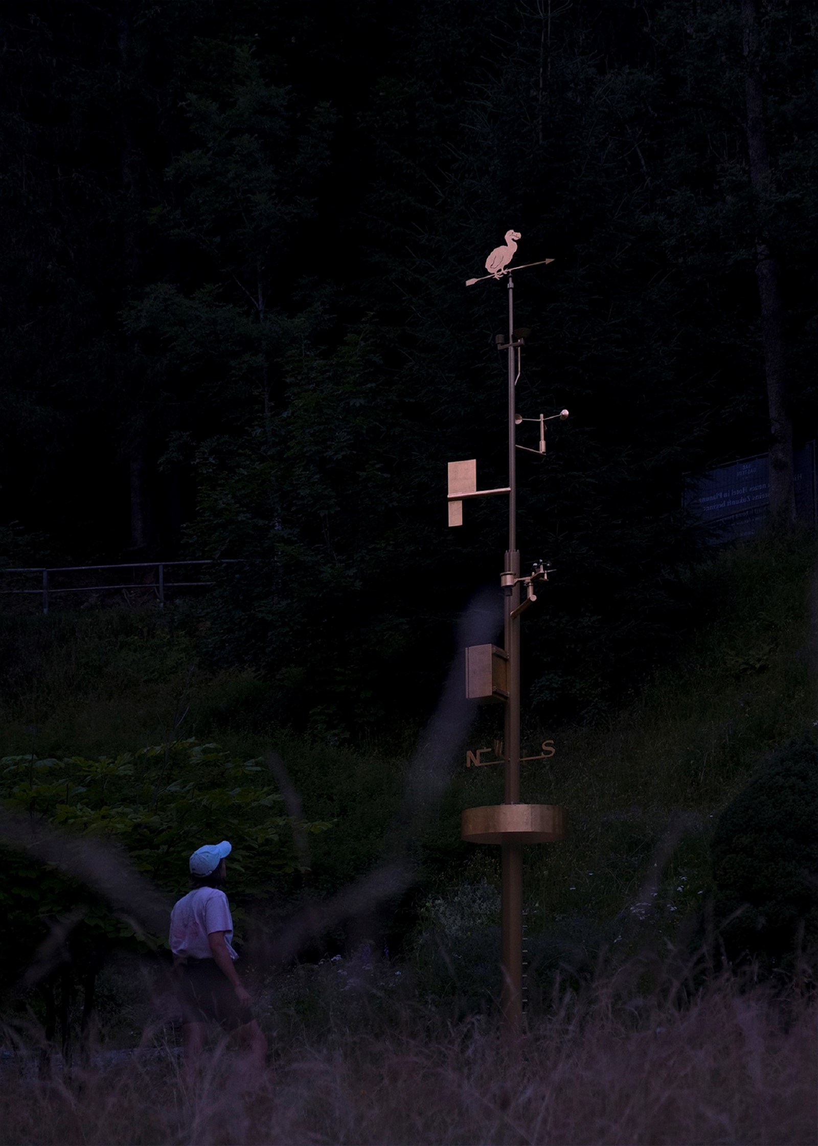 Snowguarantee Iwo Borkowicz 1 Websize