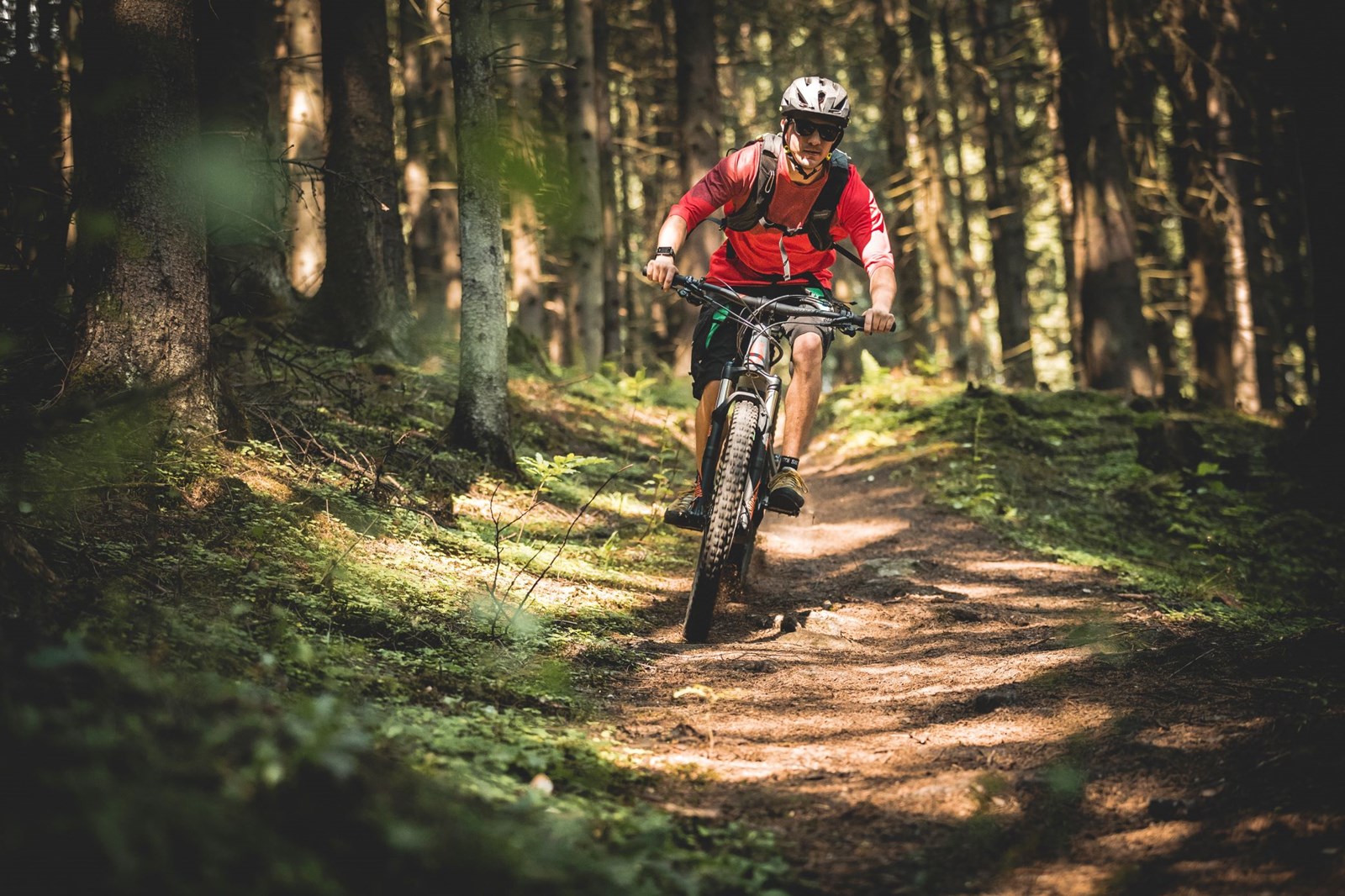 Biken Bertahof Trail Wald (C) Gasteinertal Tourismus Gmbh, Klaus Listl Freezingmotions (2)